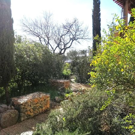 T2 36 M2, Rdc De Villa, Clim, Gd Jardin Clos, Animx Ok, Quartier Mt Faron Tres Calme, Wifi, Parking Toulon Buitenkant foto