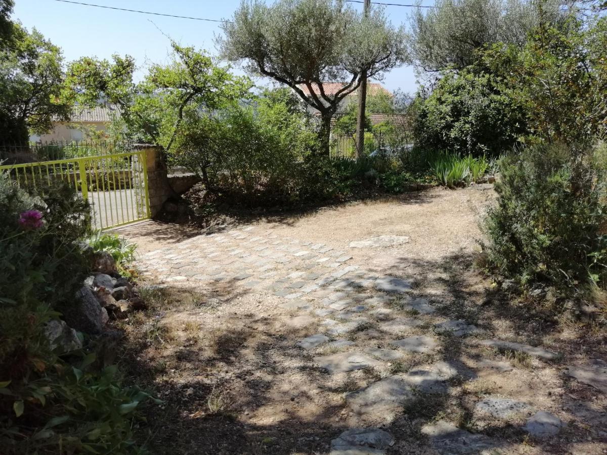 T2 36 M2, Rdc De Villa, Clim, Gd Jardin Clos, Animx Ok, Quartier Mt Faron Tres Calme, Wifi, Parking Toulon Buitenkant foto