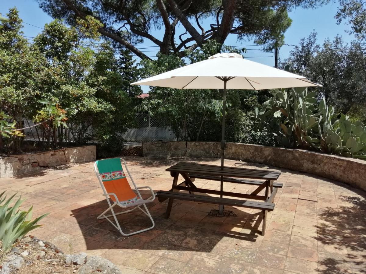 T2 36 M2, Rdc De Villa, Clim, Gd Jardin Clos, Animx Ok, Quartier Mt Faron Tres Calme, Wifi, Parking Toulon Buitenkant foto