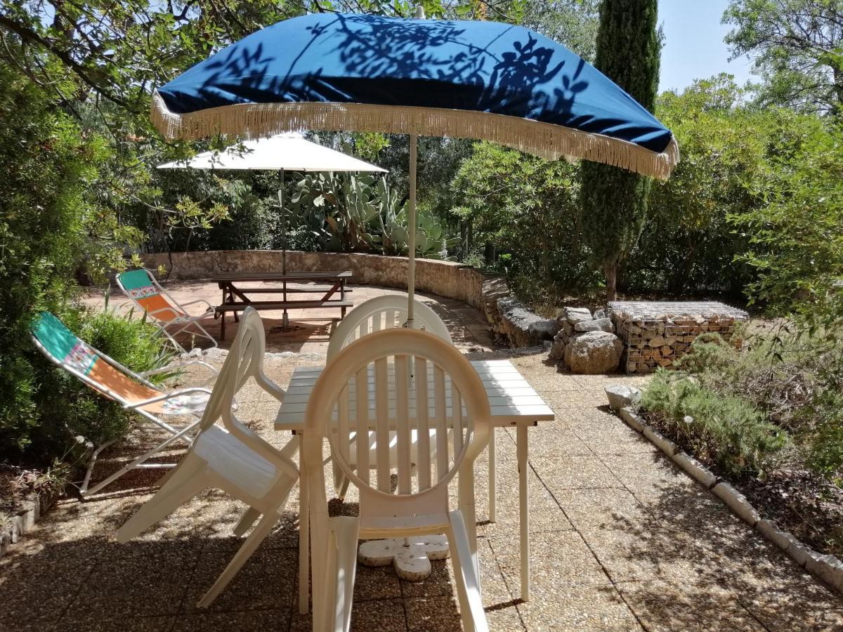 T2 36 M2, Rdc De Villa, Clim, Gd Jardin Clos, Animx Ok, Quartier Mt Faron Tres Calme, Wifi, Parking Toulon Buitenkant foto