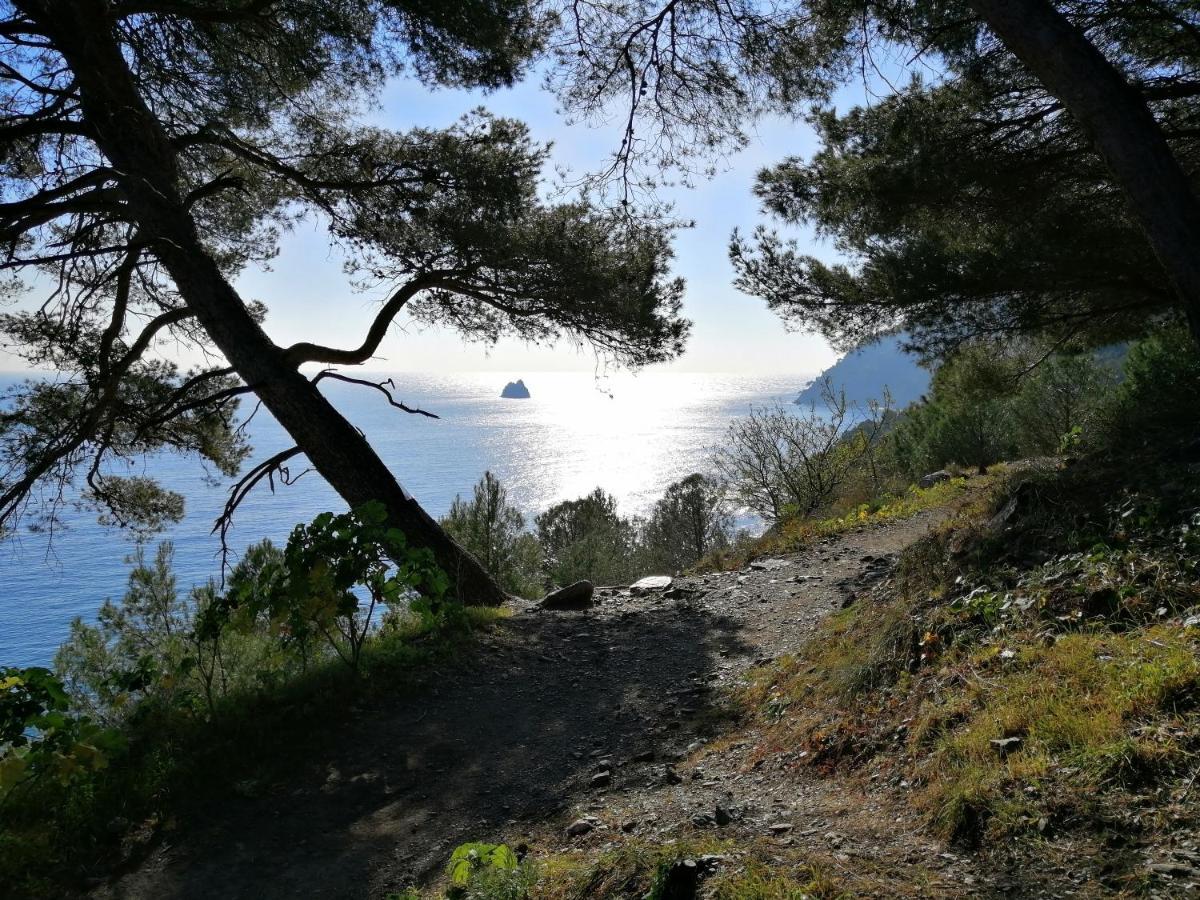 T2 36 M2, Rdc De Villa, Clim, Gd Jardin Clos, Animx Ok, Quartier Mt Faron Tres Calme, Wifi, Parking Toulon Buitenkant foto