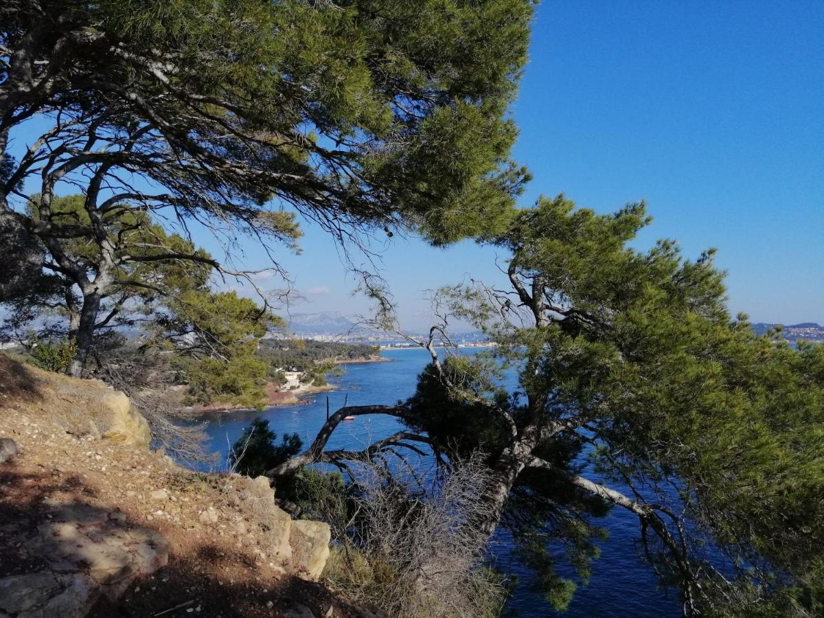 T2 36 M2, Rdc De Villa, Clim, Gd Jardin Clos, Animx Ok, Quartier Mt Faron Tres Calme, Wifi, Parking Toulon Buitenkant foto